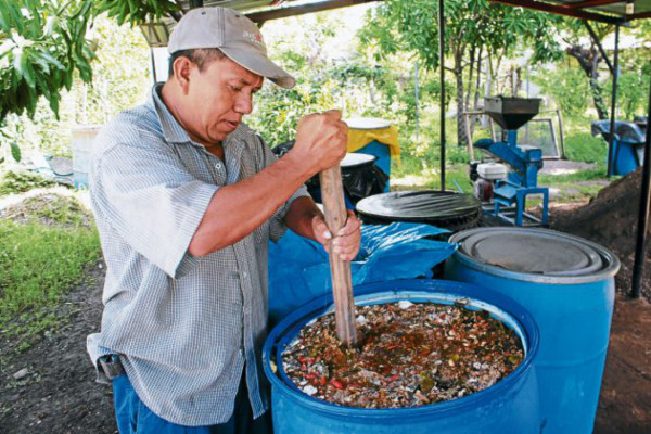Producen insecticida orgánico en zona sur de Honduras
