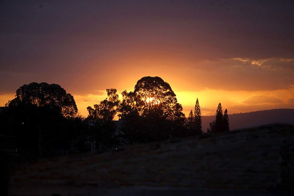 Las Fotos de la Semana