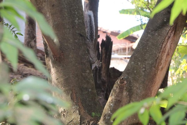 Tierra Adentro: Villa de San Francisco, cuna de tradiciones y reverencia a la naturaleza