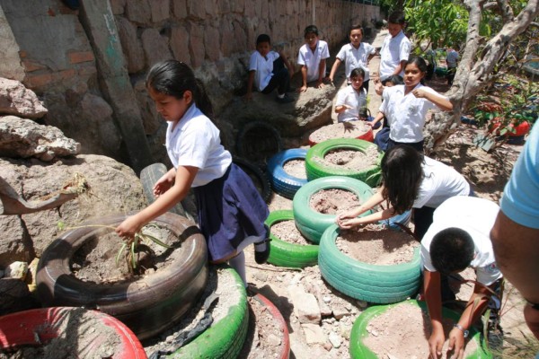 En coloridas maceteras de llantas siembran plantas en la Escuela Víctor F. Ardón