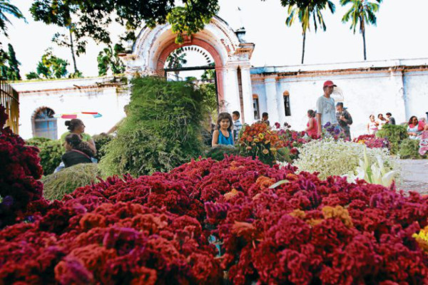 Comercio y seguridad en cementerios