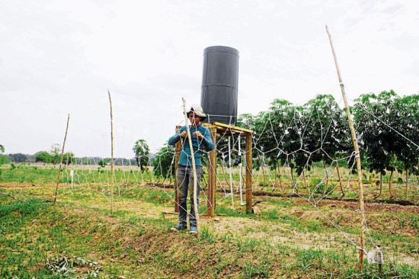 Implementarán innovador sistema de riego en la zona sur