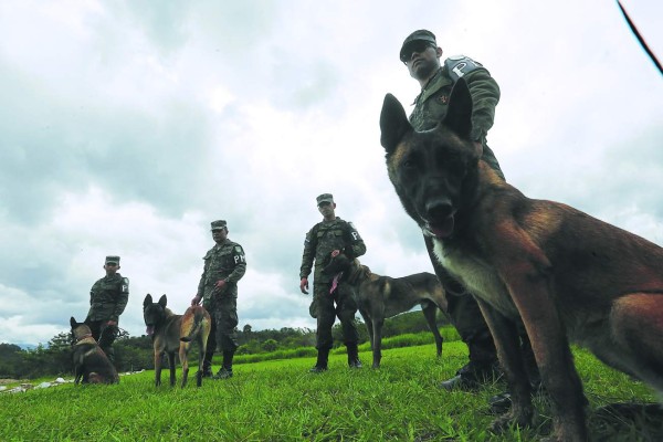 Unos 200 efectivos de la PMOP han sido depurados en más de tres años