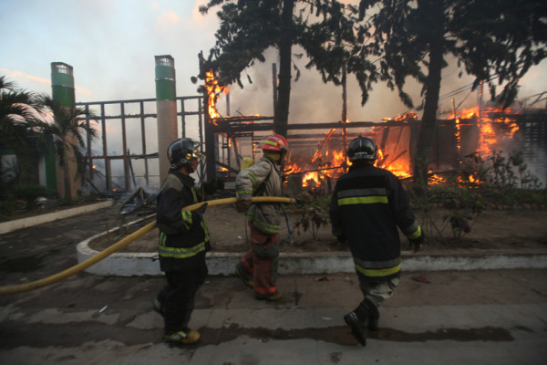 Voraz incendio reduce a cenizas del Instituto de Conservación Forestal