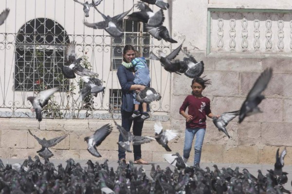 Honduras vive el día el amor y la amistad con romance, pasión y gran intensidad