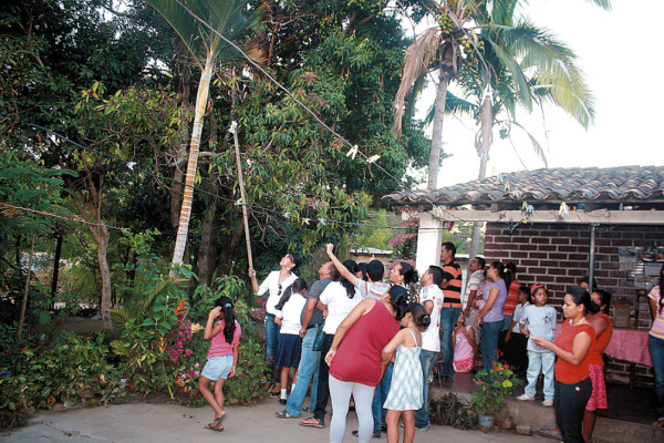 Honduras: Devotos ven rostro de Virgen sobre una palmera