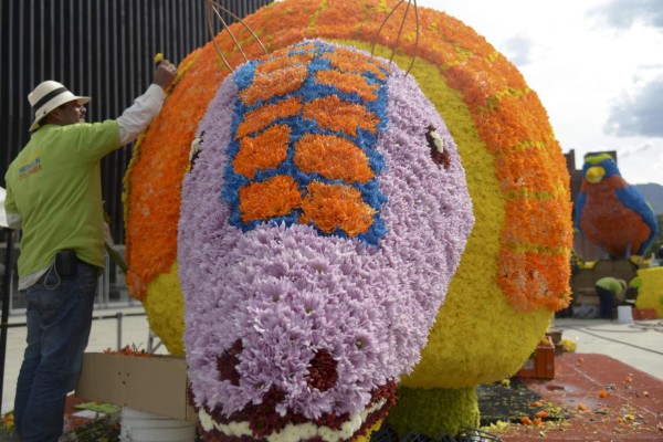Medellín le rinde tributo a la naturaleza