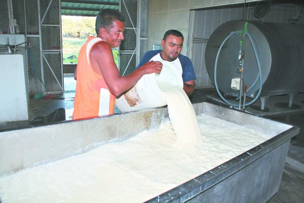 Honduras: Leche puede subir 30 centavos el litro