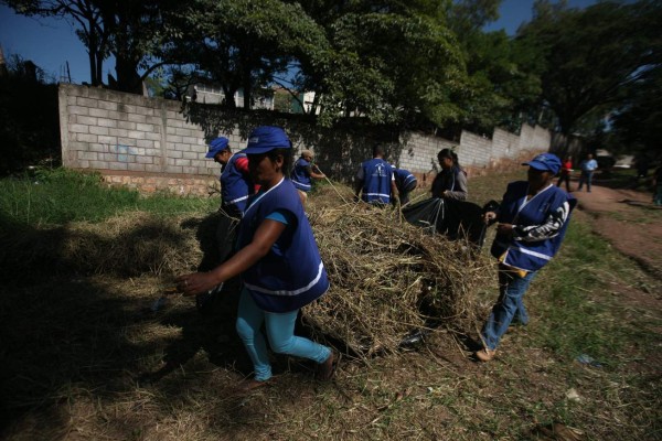 Intervienen áreas verdes y quebrada