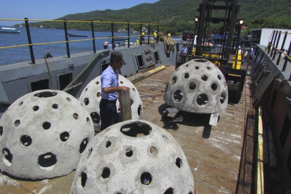 Golfo de Fonseca recupera su biodiversidad