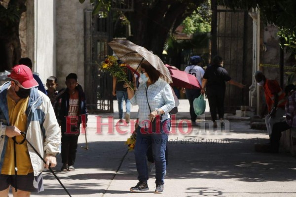 Así coronaron los capitalinos a sus difuntos este fin de semana (FOTOS)
