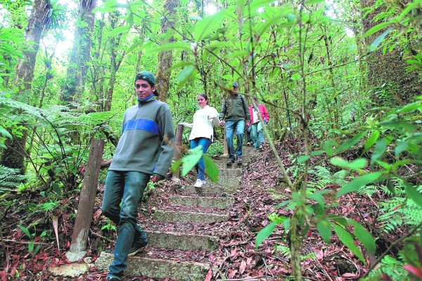 Dramático rescate de universitarios desaparecidos en bosque de La Tigra