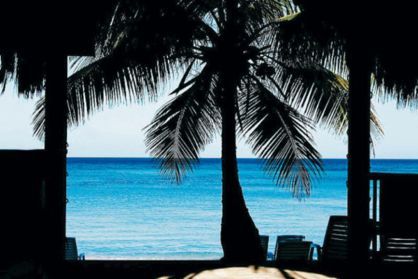 Los tesoros naturales de las islas del Caribe hondureño