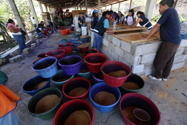 Material para las alfombras está listo en 95 por ciento