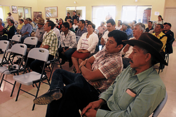Cafetaleros piden mayor seguridad