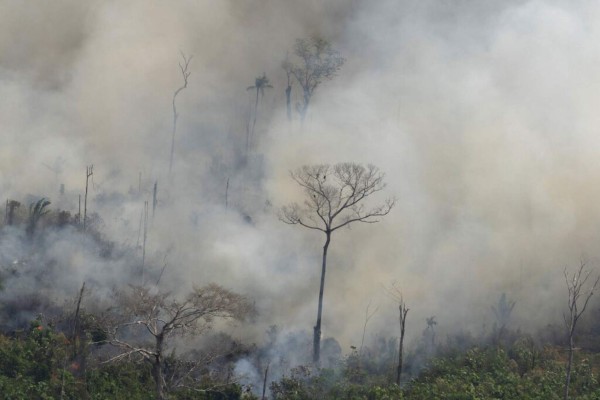 Las impactantes fotos de los desastres que deja el incendio en Amazonia