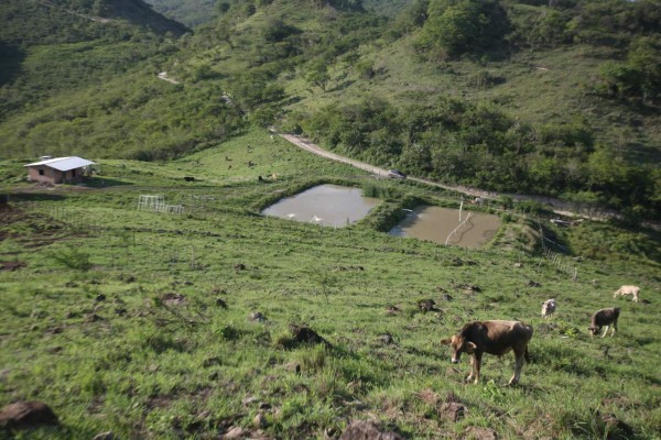 Río del Hombre es la apuesta para una nueva represa