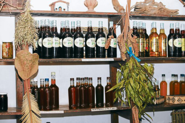 Jardín Botánico Rittenhouse: un paseo por la naturaleza