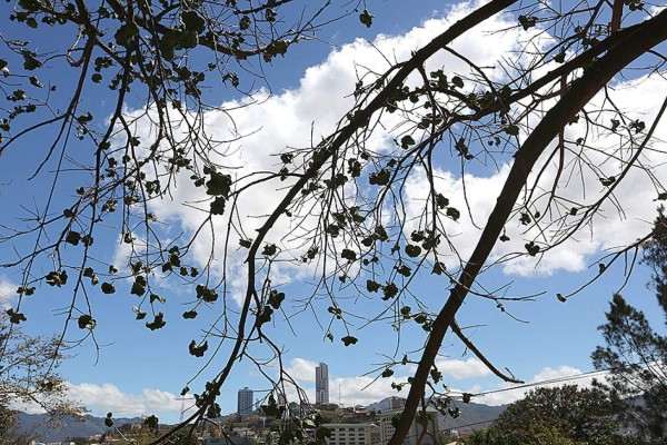 Las Fotos de la Semana en ElHeraldo.hn