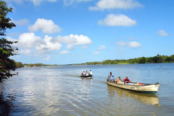La Mosquitia hondureña, imponente escenario biológico