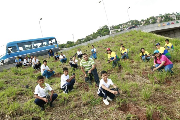 Cinco escuelas obtienen la marca ecológica ambiental