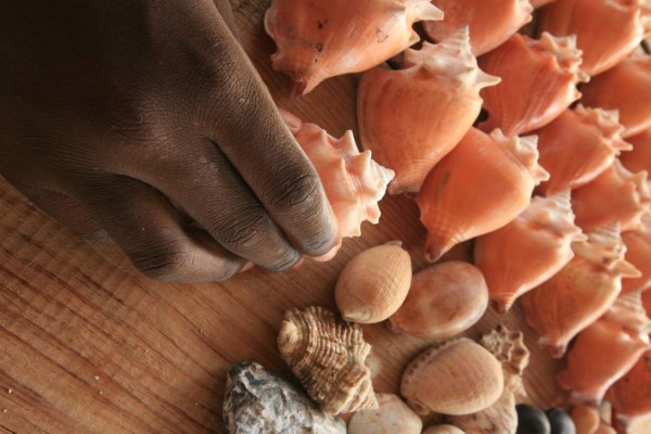 Cayos Cochinos: Exuberante hábitat de la boa rosada