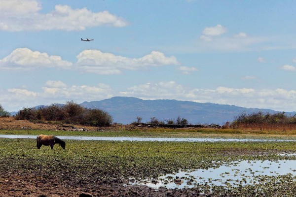 Sitio ecoturístico planean para Laguna del Pedregal