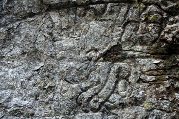 Vestigios lencas envueltos entre la maleza y abandono