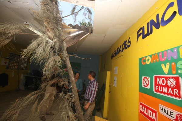 Honduras: Rama cae sobre techo de Prepace