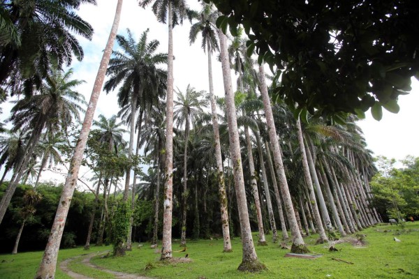 Ecosistemas de enorme riqueza escénica