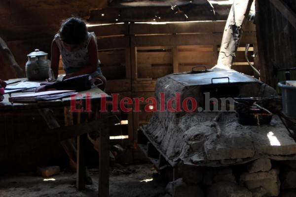 Venden leña, cuidan a sus hermanos o ayudan en casa: los niños que dejaron las escuelas por el covid