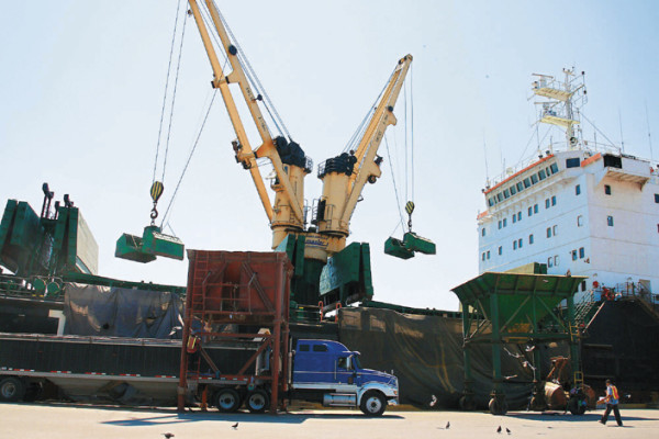 Deficiencias en Senasa limitan aprovechamiento de TLC