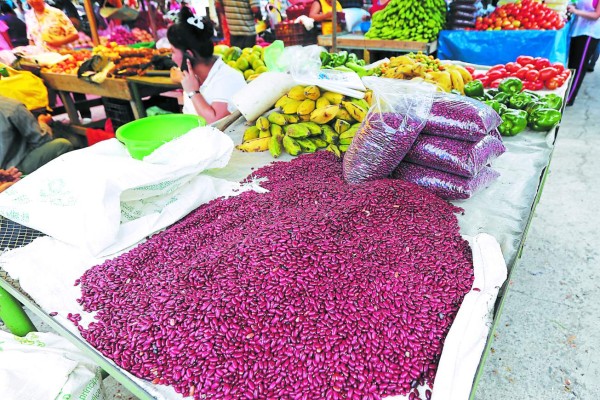 Honduras: Precio del frijol rojo sigue en picada y se cotiza a L 40 la medida