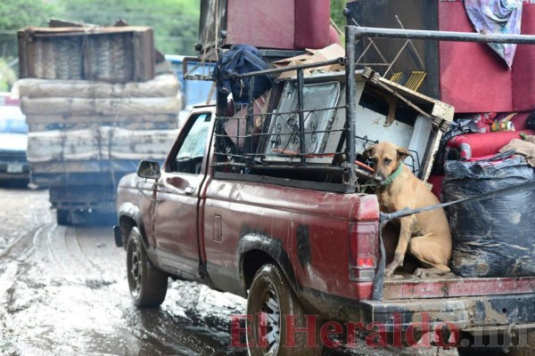 ¡Imágenes que duelen! Las duras secuelas de Eta a su paso por Honduras
