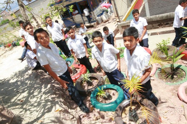 En coloridas maceteras de llantas siembran plantas en la Escuela Víctor F. Ardón