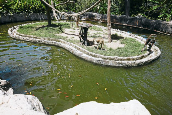 Un vistazo a nuestra fauna nacional