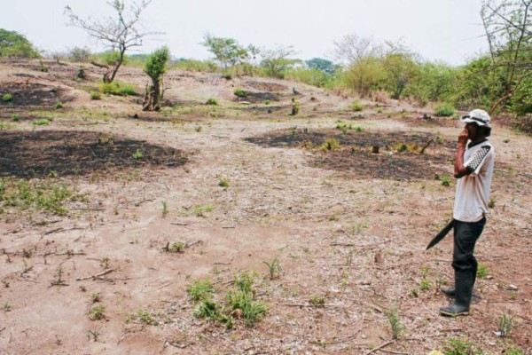 Robinson: Honduras afronta la sequía más grave de la última década