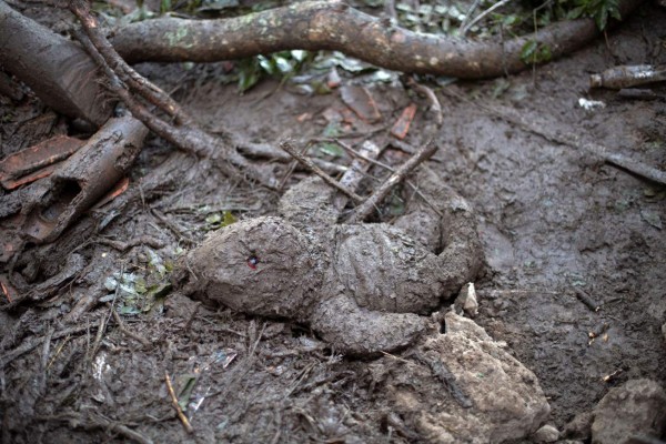 Las desgarradoras imágenes tras el mortífero deslave en El Salvador