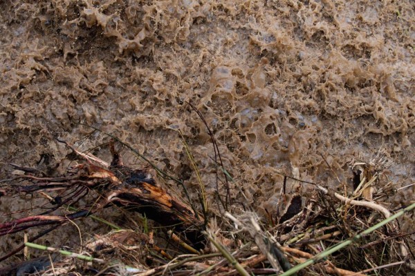 Las imágenes del temporal Gloria en España; ya son siete los muertos