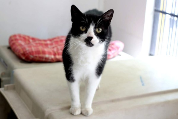 ¿Deberían o no dormir juntitos?