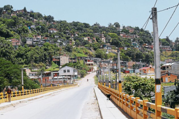 Abandono mantiene en mal estado el 80% de puentes