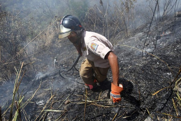 Consumidas 264 hectáreas de bosque en el Distrito Central