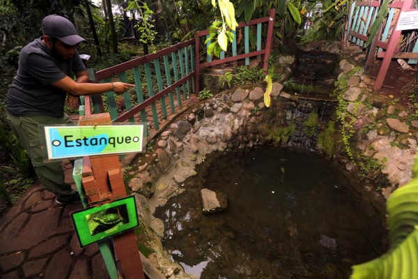 Uno de los cinco mariposarios del país se encuentra en Tegucigalpa