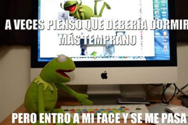 El origen de los memes de la Rana René