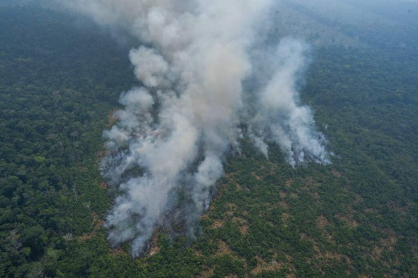 Las impactantes fotos de los desastres que deja el incendio en Amazonia