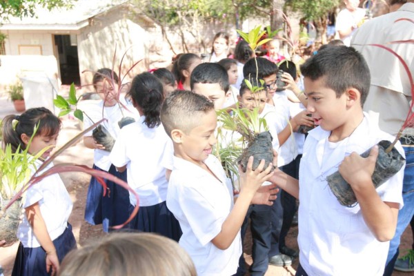 Entornos verdes recuperan importancia en la Escuela Experimental de Niños para la Música