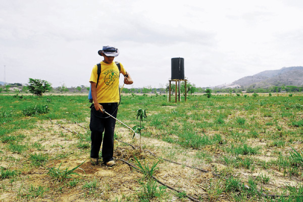 Implementarán innovador sistema de riego en la zona sur