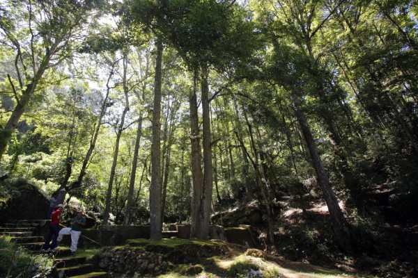 Gobierno pretende controlar reserva biológica de La Tigra