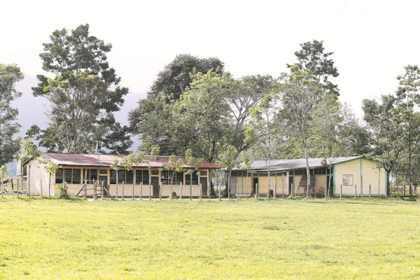 Noble padrino de la luz y del saber