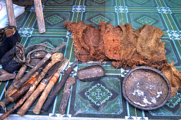 Un padre y un hijo salen de la jungla tras 40 años